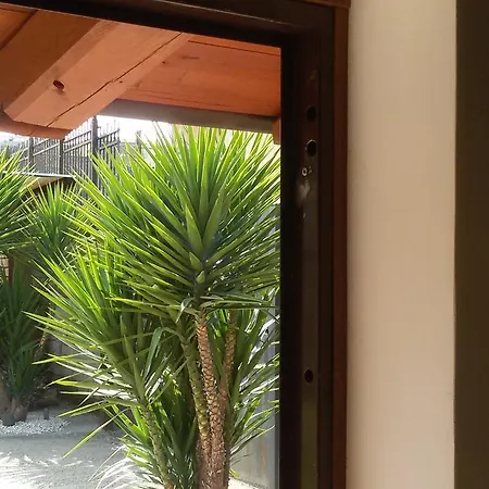 Il Principe Ranocchio Bed & Breakfast Roma